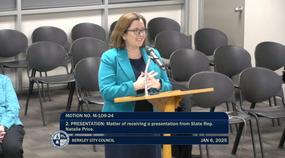 Michigan State Representative Natalie Price speaking behind a podium to the Berkley City Council.