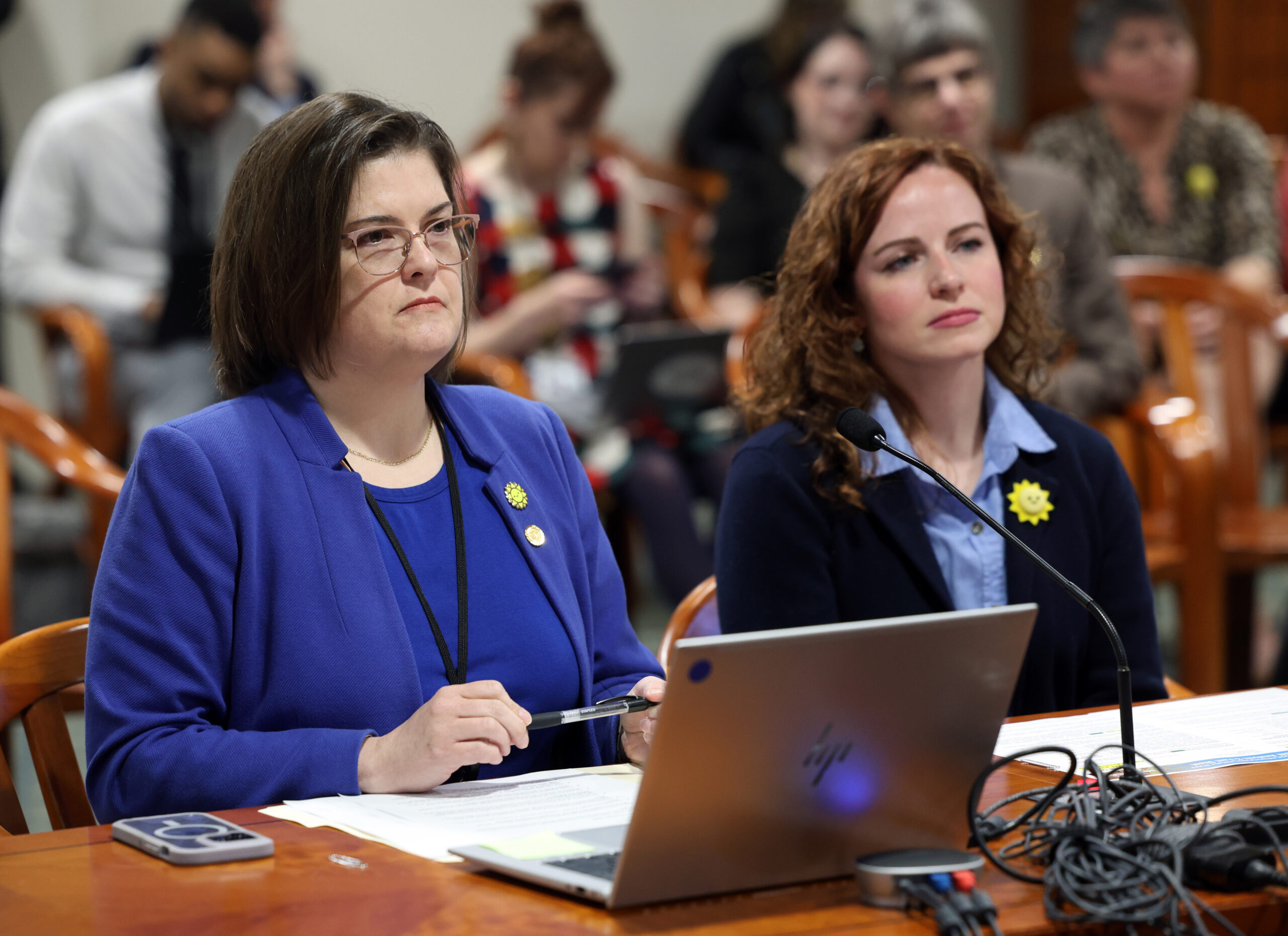 Michigan State Representatives Kara Hope and Erin Byrnes testify in a House committee.