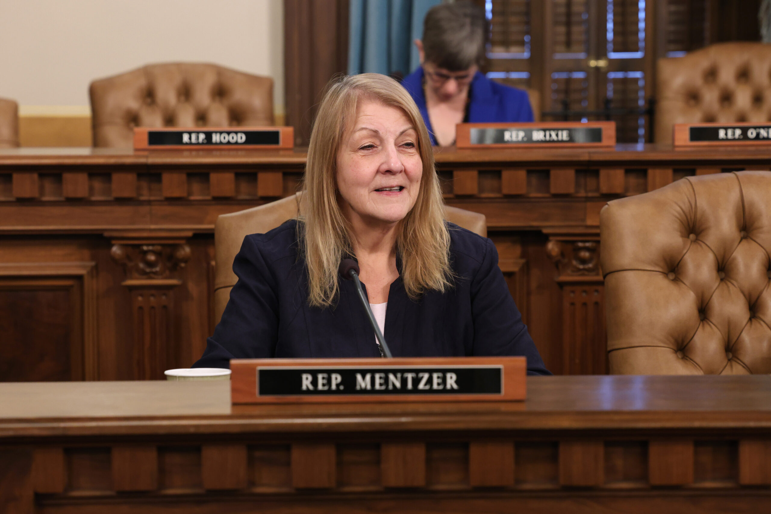 Michigan State Representative Denise Mentzer sits in a House committee meeting.