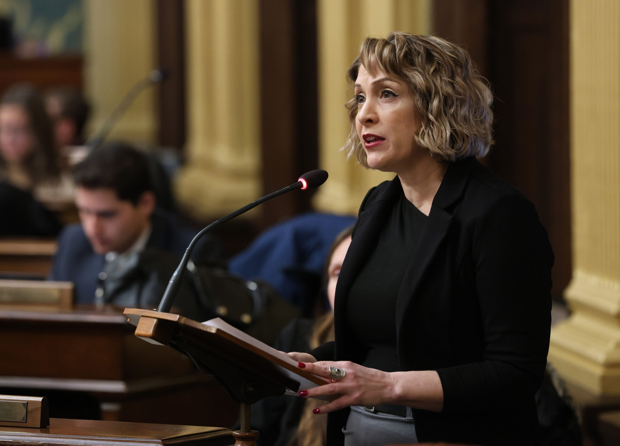 Michigan State Representative Emily Dievendorf speaks on the House floor.