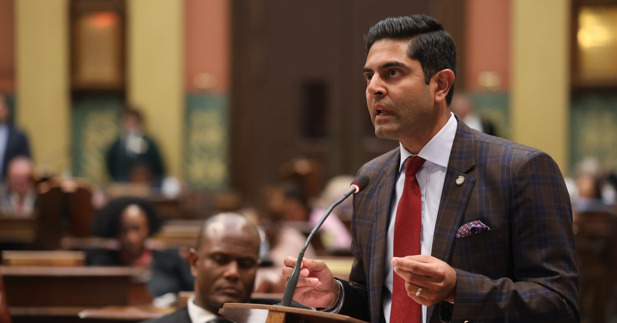 Image of Democratic Leader Ranjeev Puri speaking on the House floor.