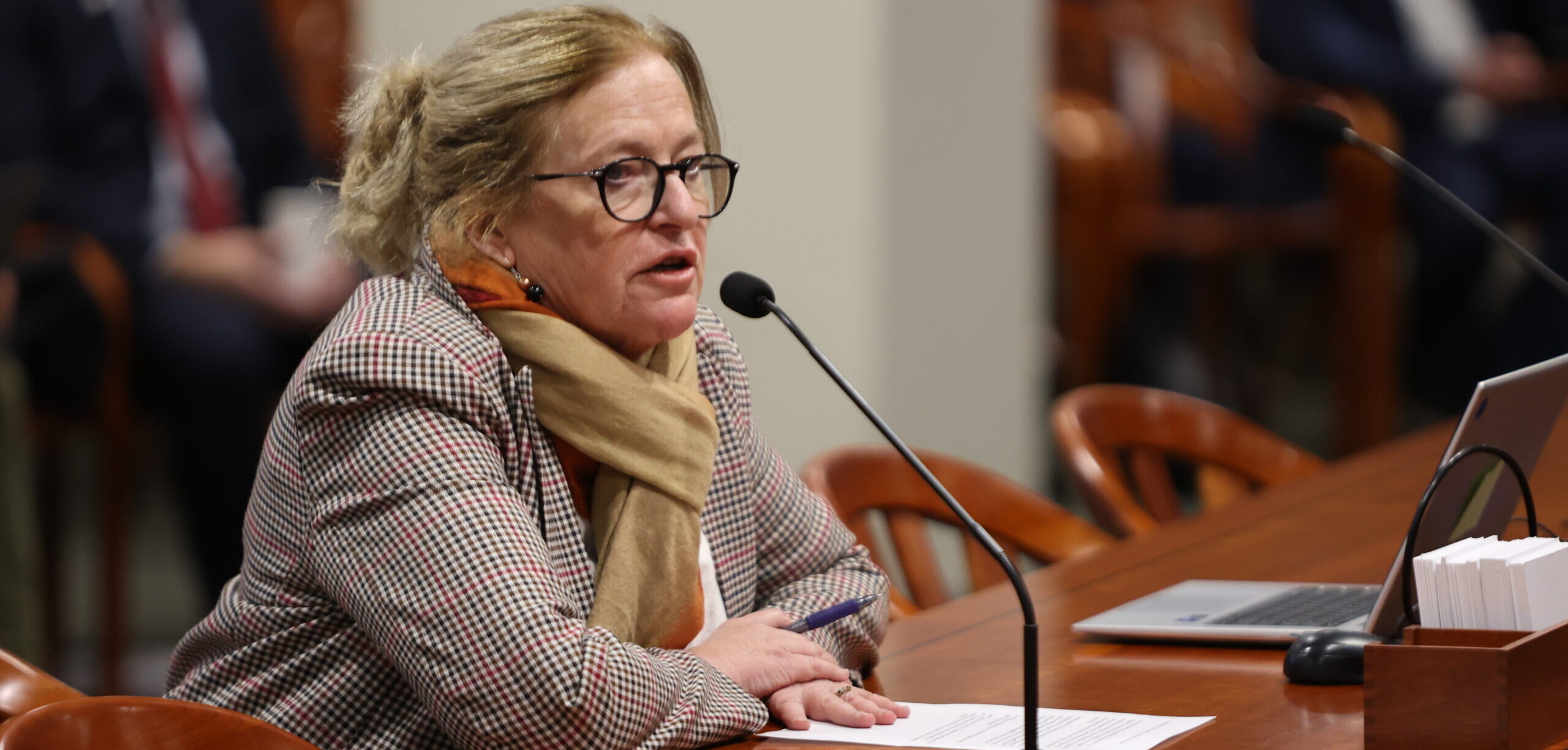 State Rep. Jennifer Conlin testifying in a House committee at the Anderson House Office Building in Lansing on Thursday, Dec. 5, 2024.