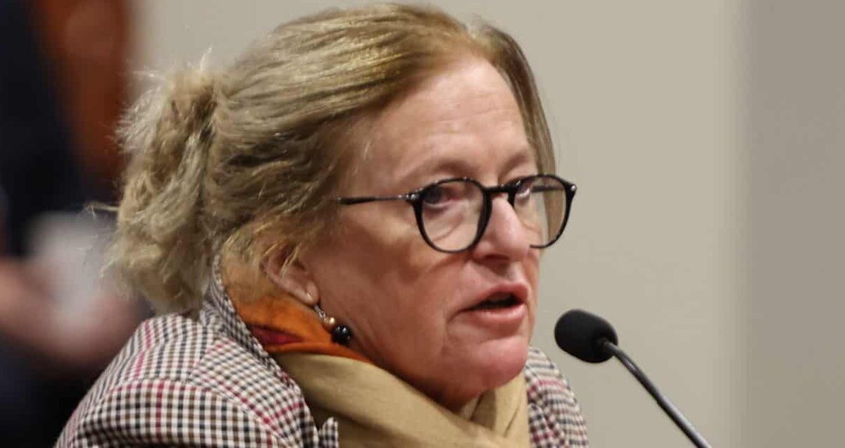 State Rep. Jennifer Conlin testifying in a House committee at the Anderson House Office Building in Lansing on Thursday, Dec. 5, 2024.