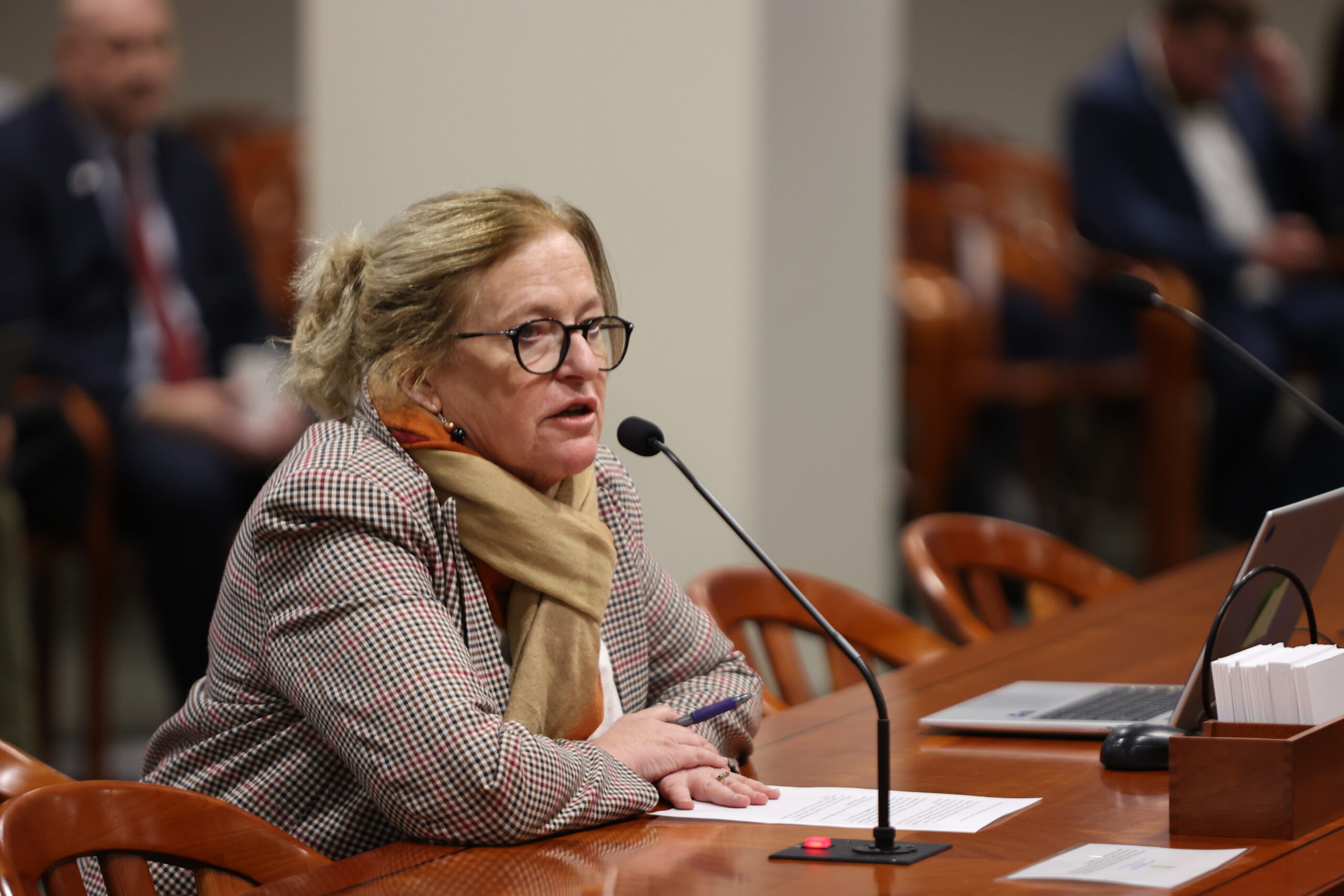 State Rep. Jennifer Conlin testifying in a House committee at the Anderson House Office Building in Lansing on Thursday, Dec. 5, 2024.