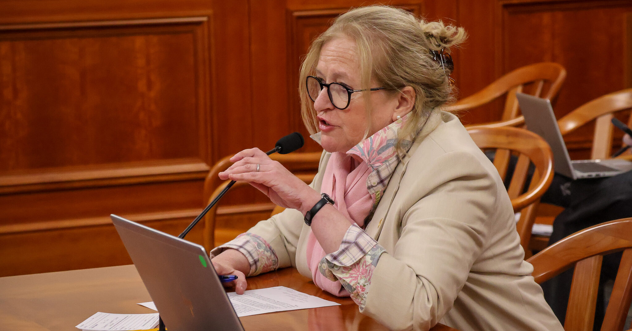 Image of Michigan State Rep. Jennifer Conlin testifies in a committee meeting at the Anderson House Office Building.