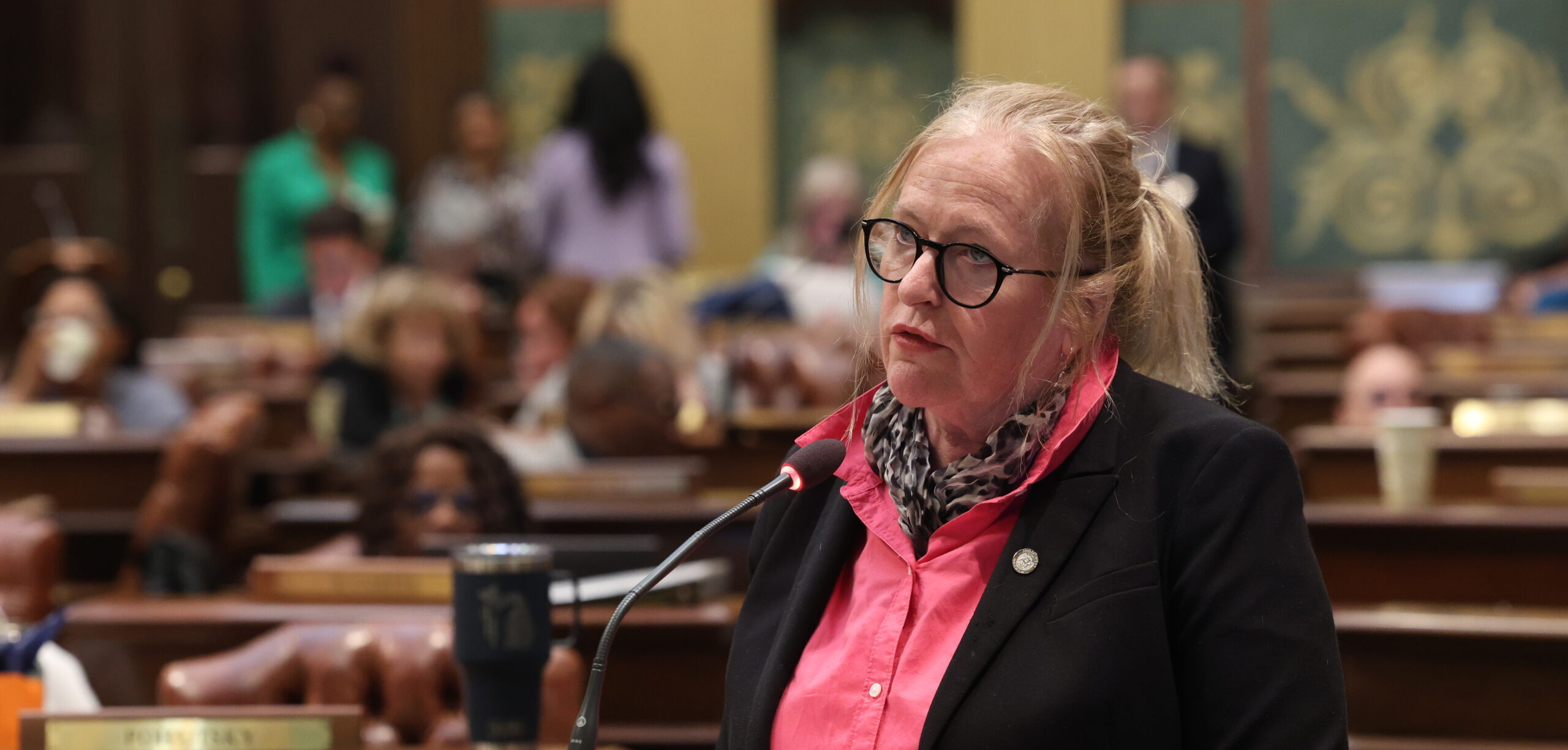 State Rep. Jennifer Conlin (D-Ann Arbor Charter Twp.) speaks in support of the General Government Budget Amendment on Wednesday, May 8, 2024.