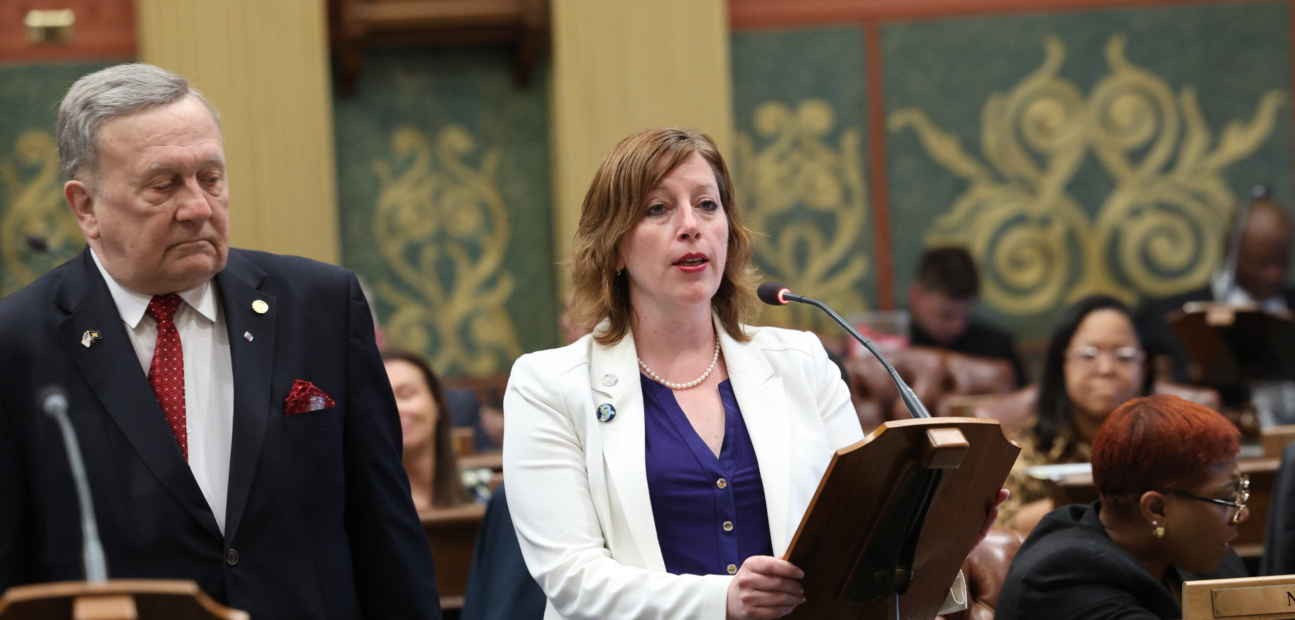 State Reps. Julie M. Rogers (D-Kalamazoo) speaking in support on HBs 4103 and 4104 on the House Floor at the Capitol in Lansing.