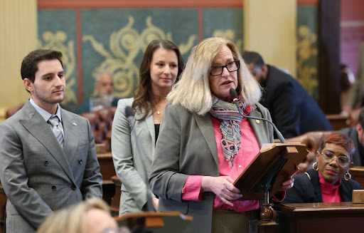 State Rep. Jennifer Conlin speaking on the House floor of the Michigan Capitol on May 7, 2025.