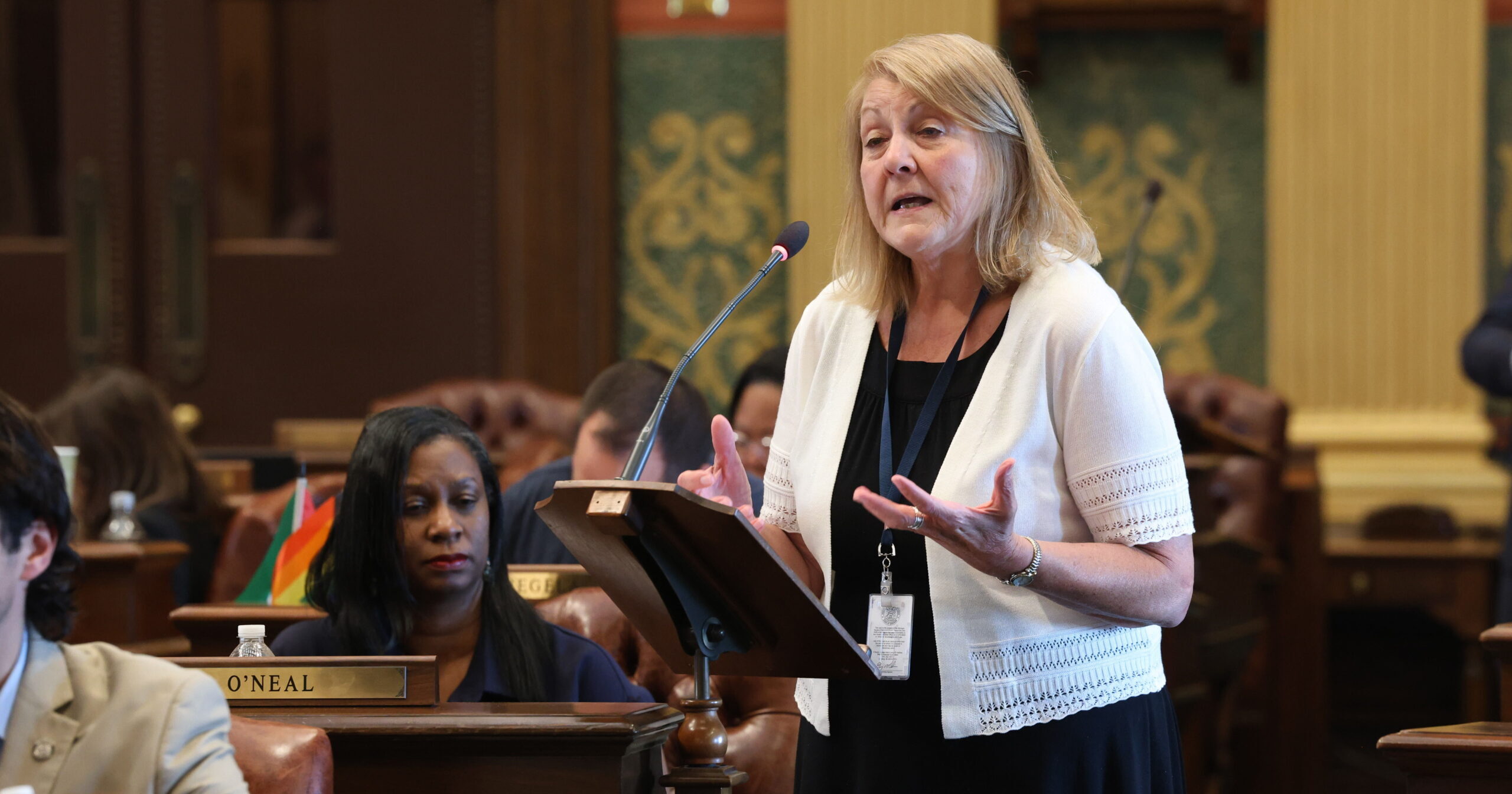 State Rep. Denise Mentzer speaks on the house floor