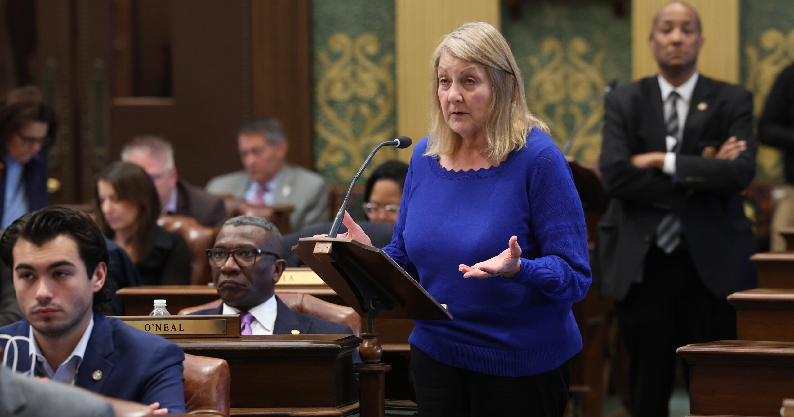 State Rep. Denise Mentzer speaks on the House floor