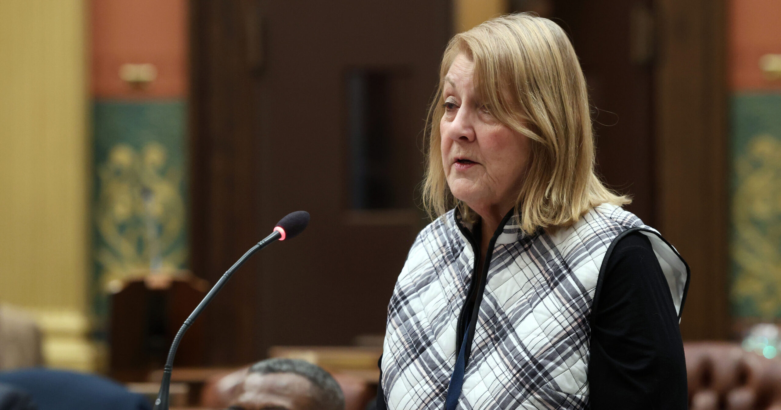 State Rep. Denise Mentzer speaks on the house floor.