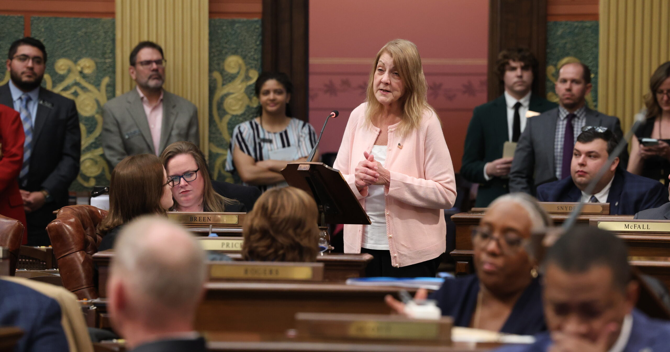 State Rep. Denise Mentzer speaks on the House floor.