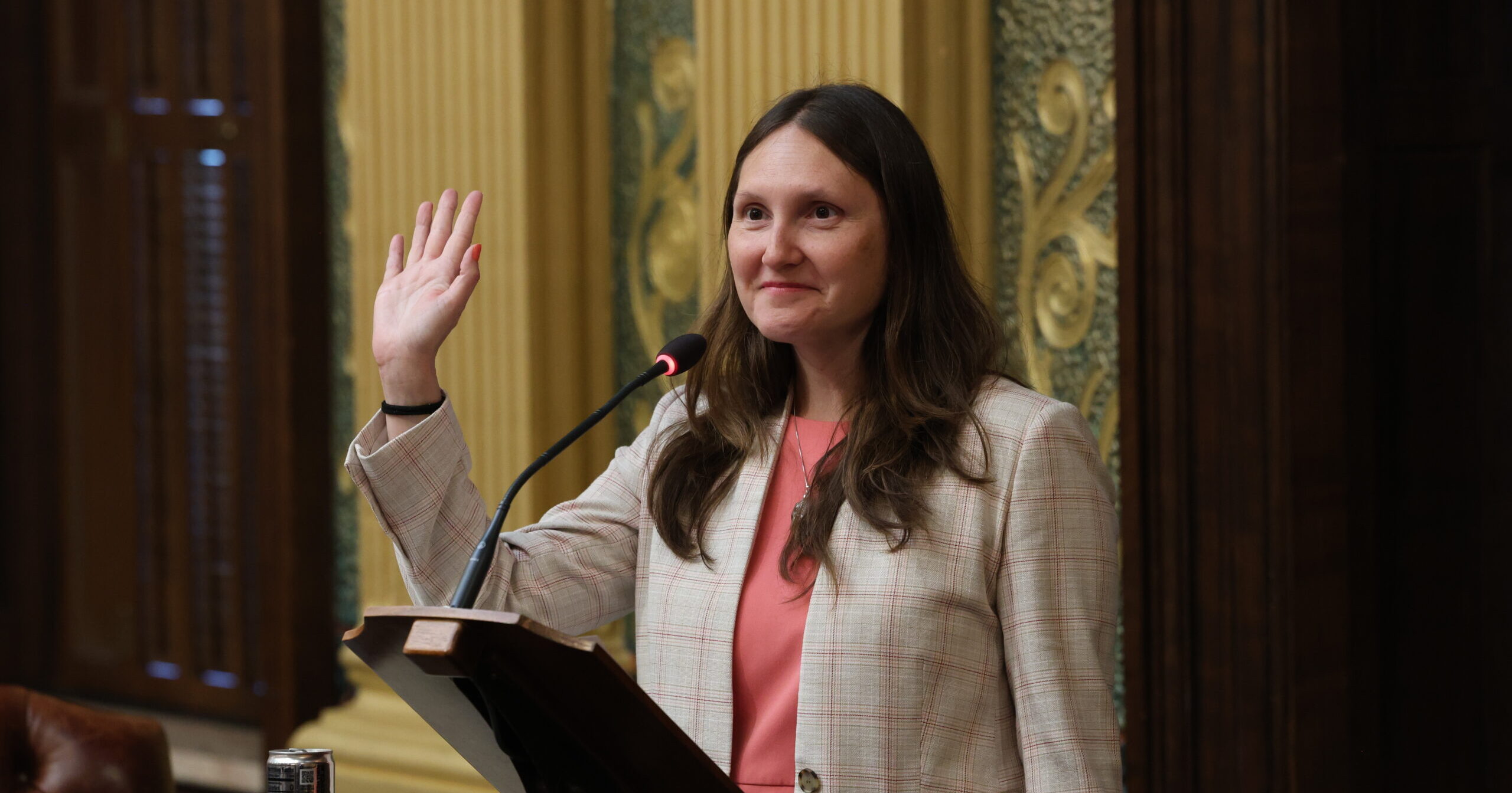 State Rep. Penelope Tsernoglou speaks on the house floor