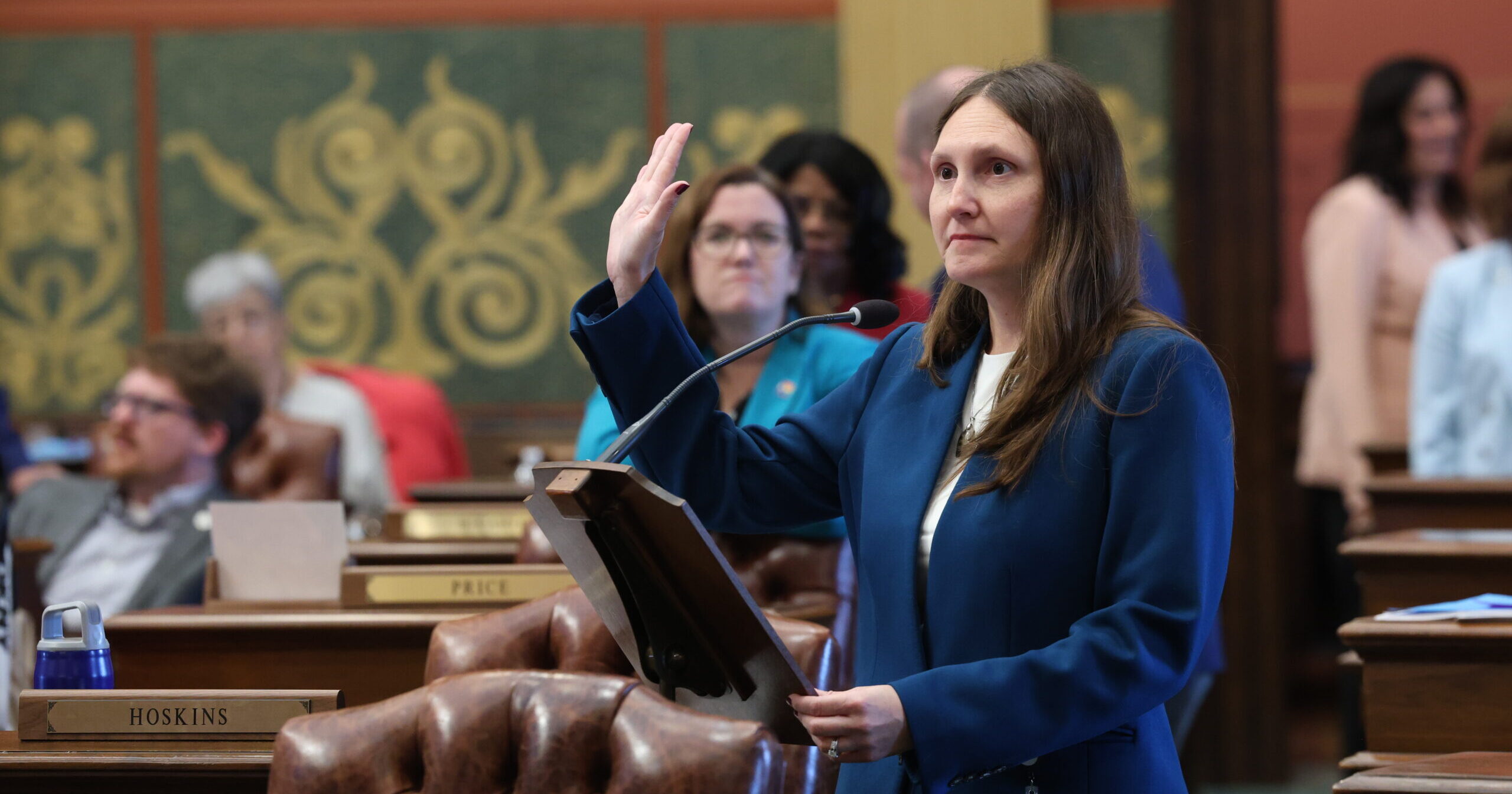 State Rep. Penelope Tsernoglou speaks on the house floor