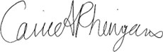 state rep. Carrie Rheingans signature