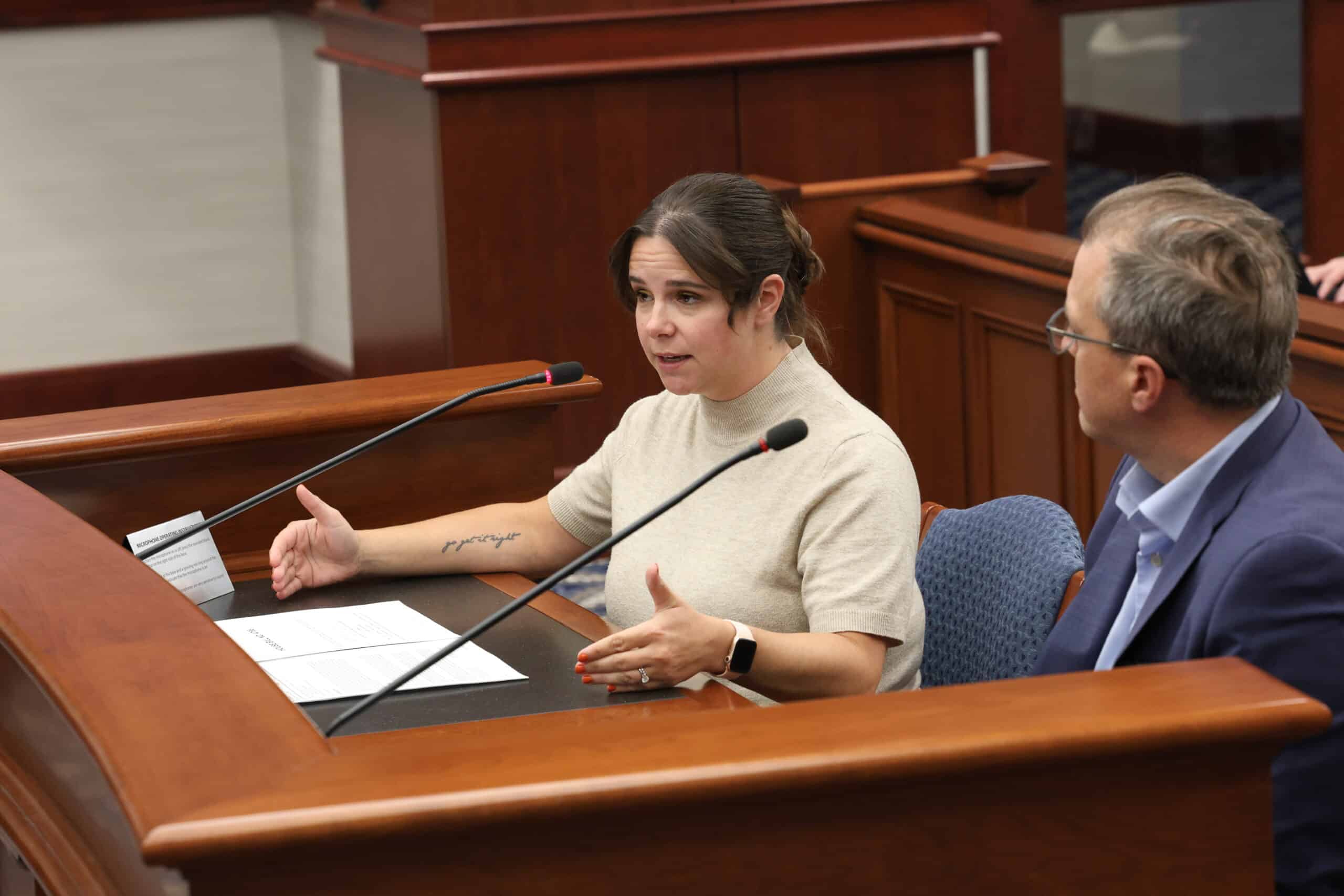 State Rep. Laurie Pohutsky testifies during a Senate committee meeting