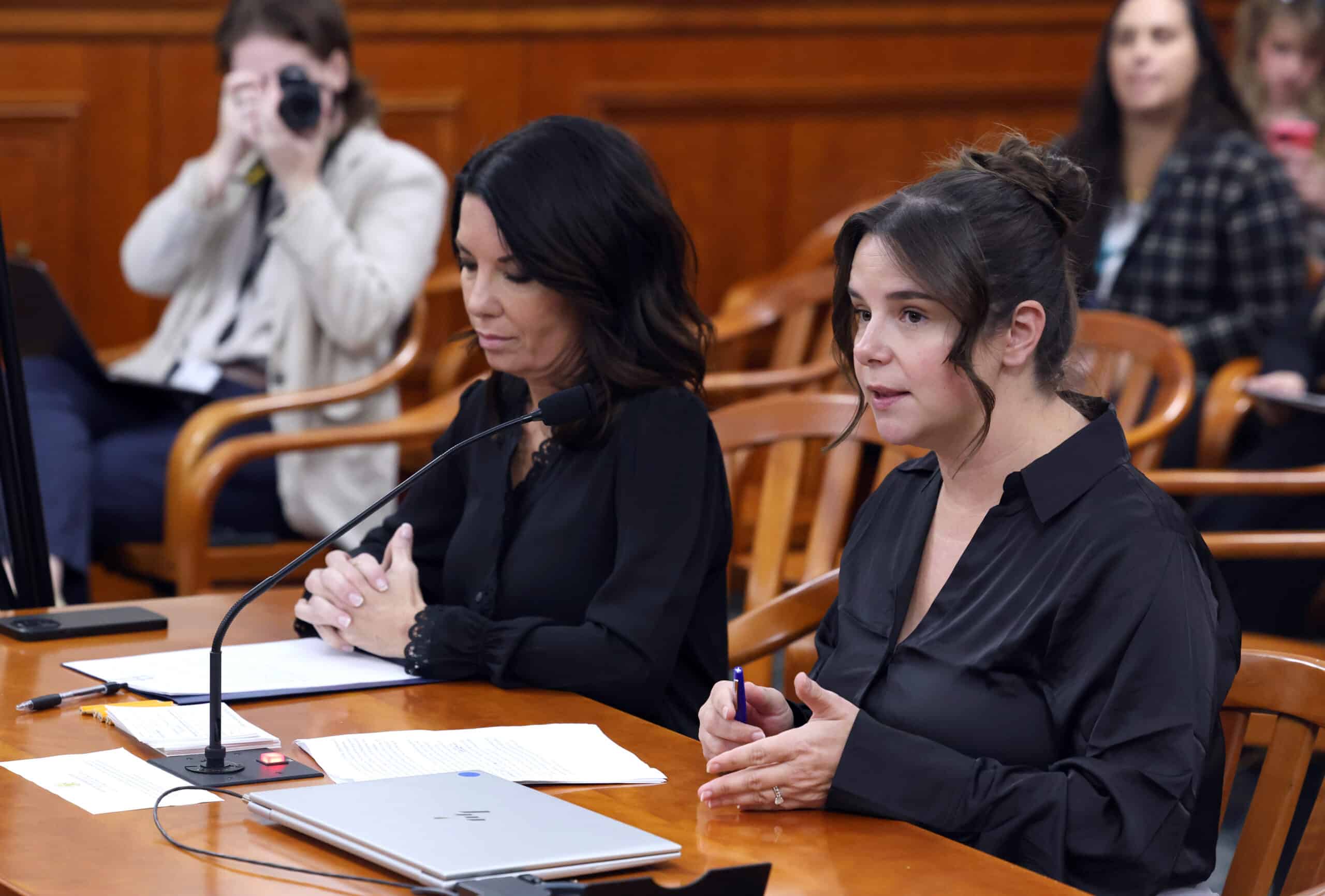 State Rep. Laurie Pohutsky testifies in committee