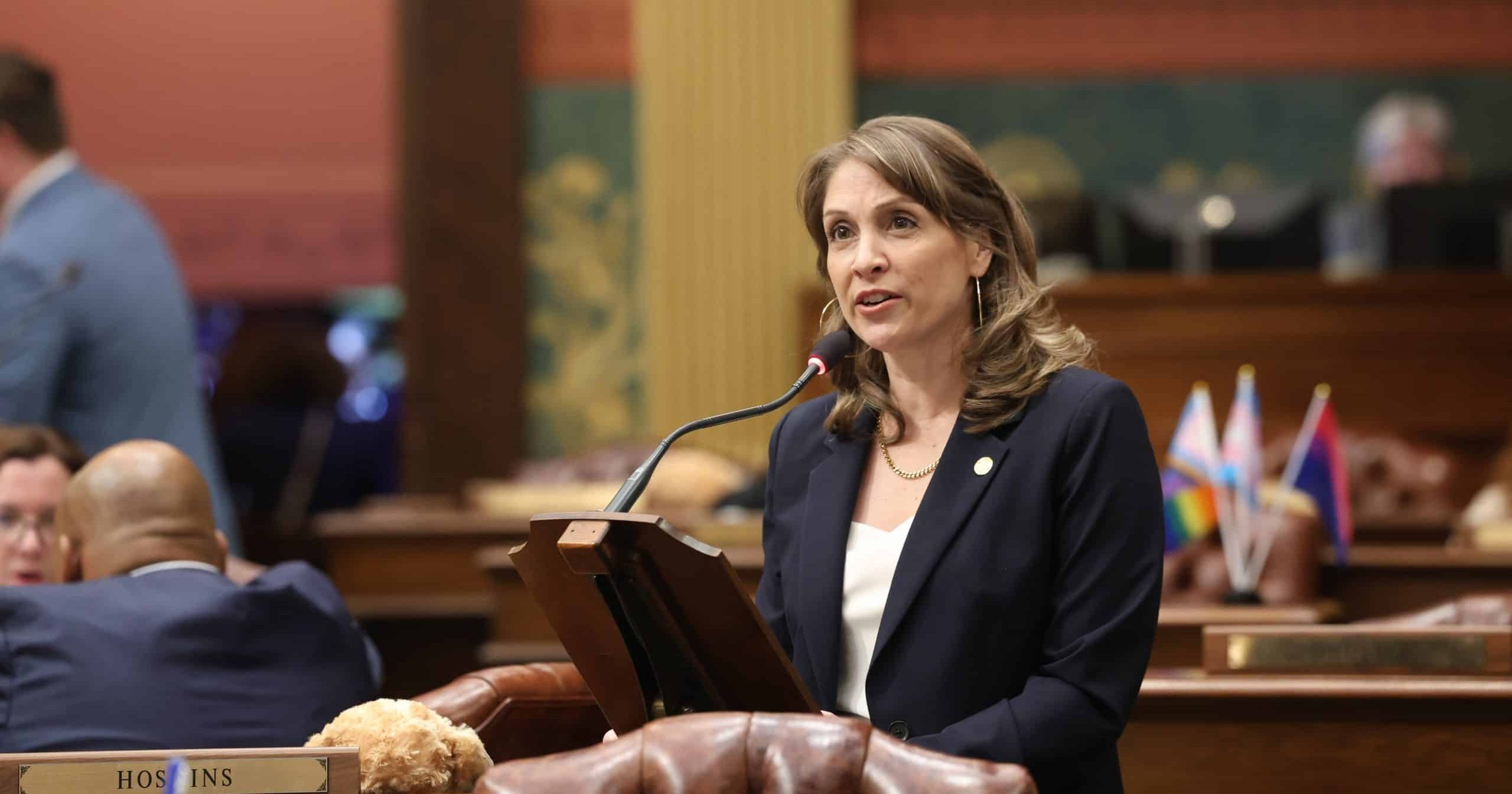 State Rep Emily Dievendorf on the House floor