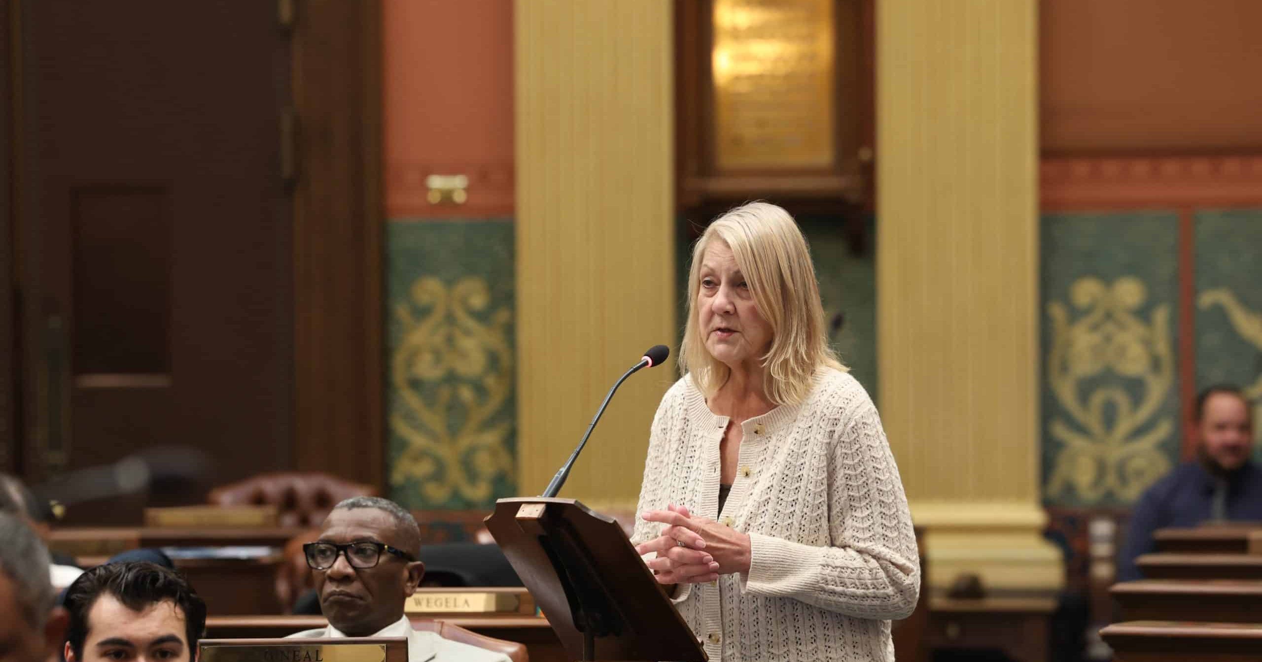 State Rep. Denise Mentzer speaks on the House floor