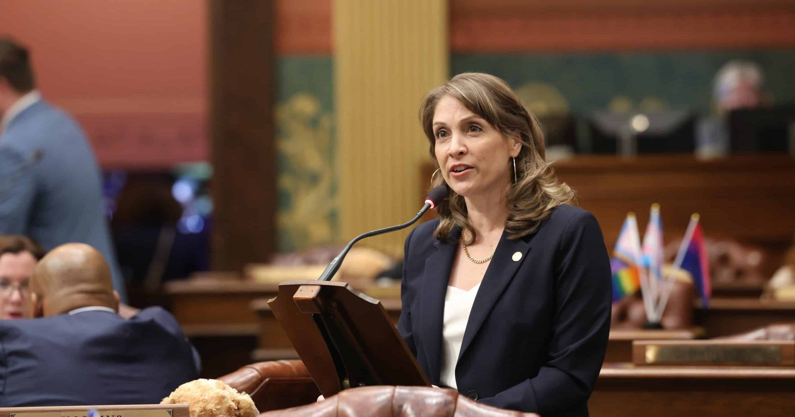 State Rep. Dievendorf on the House floor